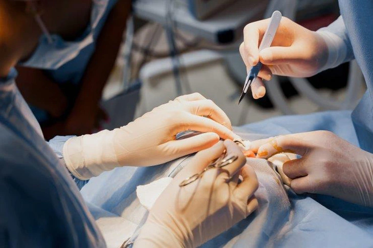 photo 1 1639448872391584443394